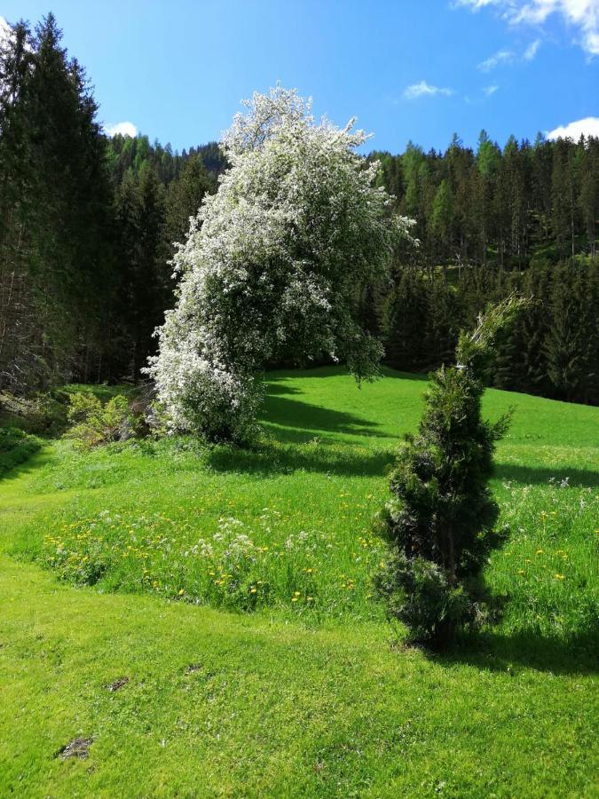 Pension Stoffler Sankt Veit in Defereggen Dış mekan fotoğraf