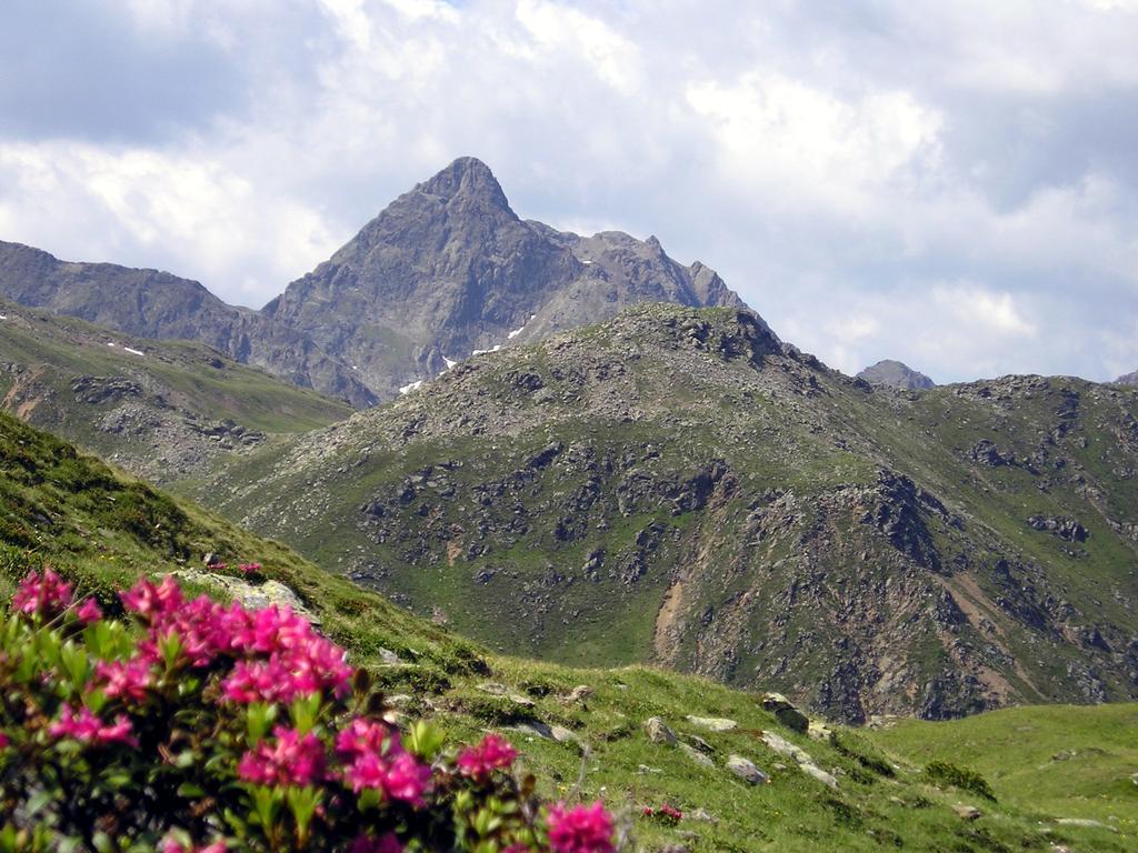 Pension Stoffler Sankt Veit in Defereggen Dış mekan fotoğraf